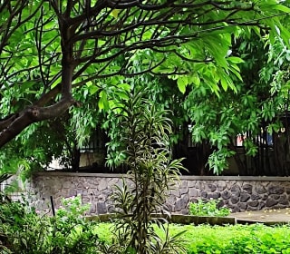 Nilay — Photo via Google Maps