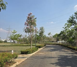 KNS Calisto Phase II — Photo via Google Maps
