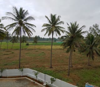 SM Gardenia — Photo via Google Maps
