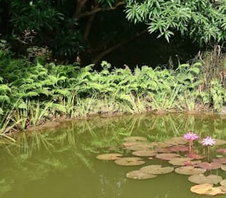 Eco Park — Photo via Google Maps