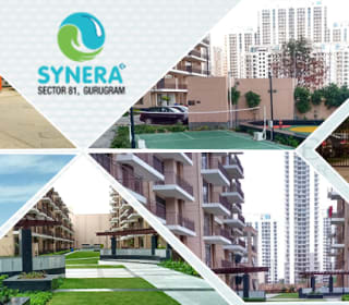 Synera — Photo via Google Maps