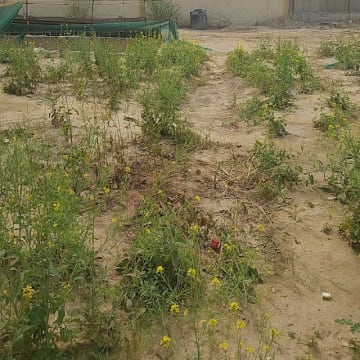 Mahagun Montagge — Photo via Google Maps