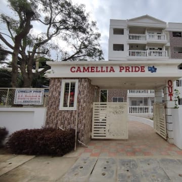 Camellia Pride — Photo via Google Maps