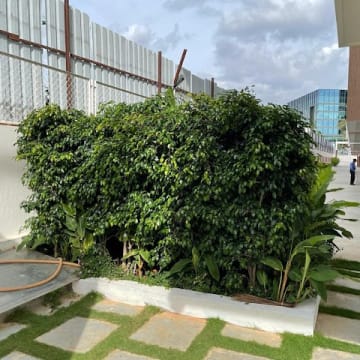 Sravya's Flute 2 — Photo via Google Maps
