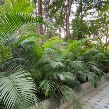 RCMs Kshatriya Residency — Photo via Google Maps