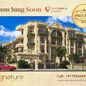 Signature Pristine — Photo via Google Maps