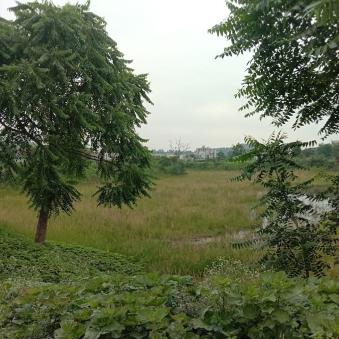Madhuban — Photo via Google Maps