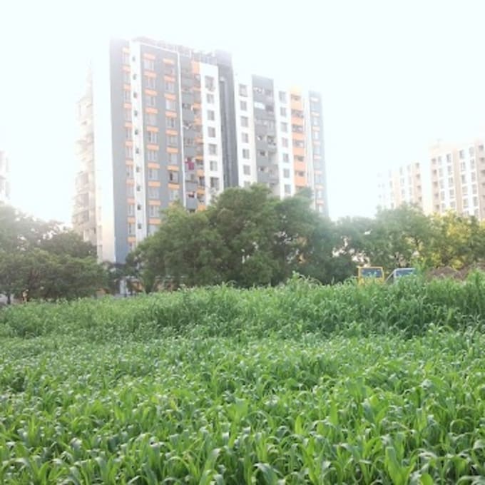Indraprastha Utsav — Photo via Google Maps