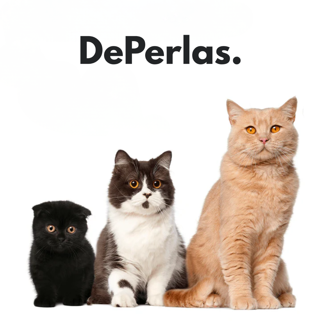Collar DePerlas apto para gatos de todos los tamaños y razas