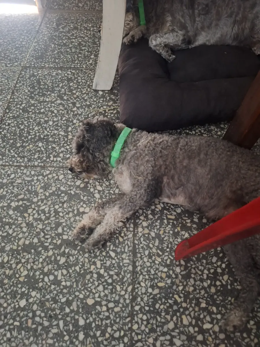 Reseña de cliente DePerlas