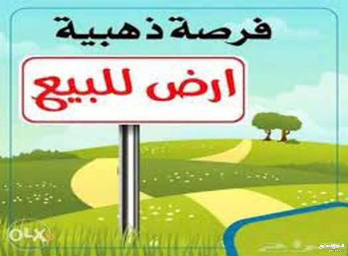 صورة 1