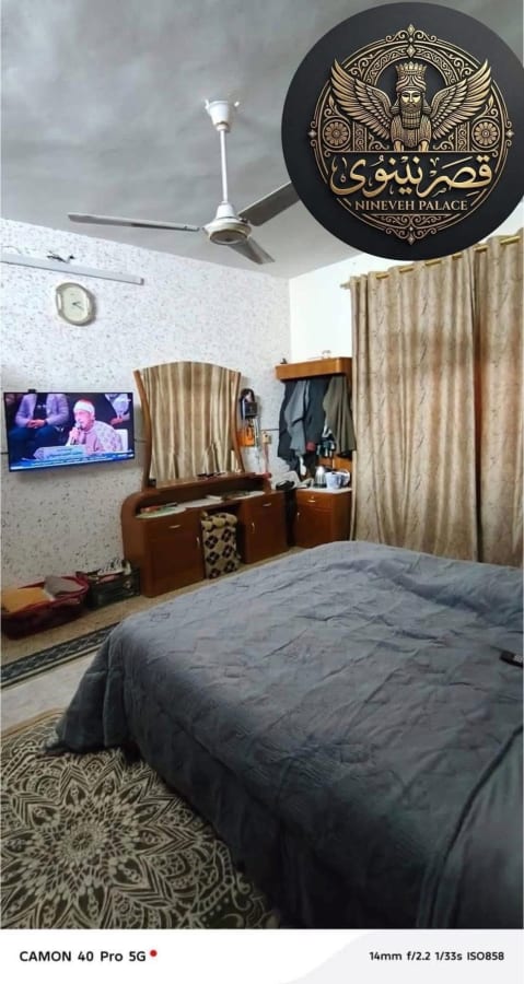 صورة 6