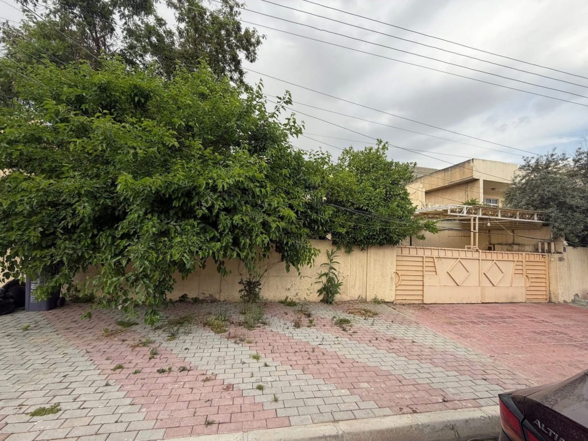 صورة 4