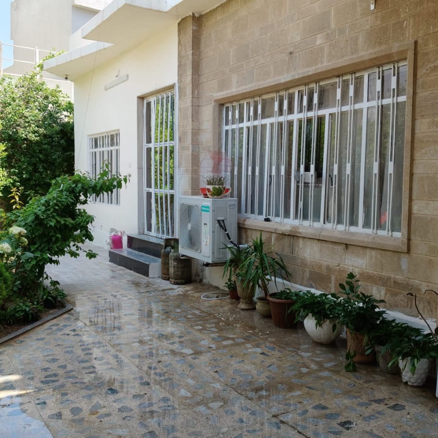 صورة 3