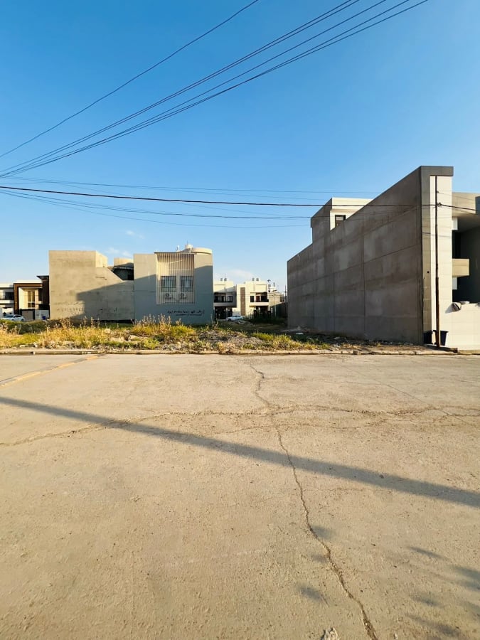 صورة 3