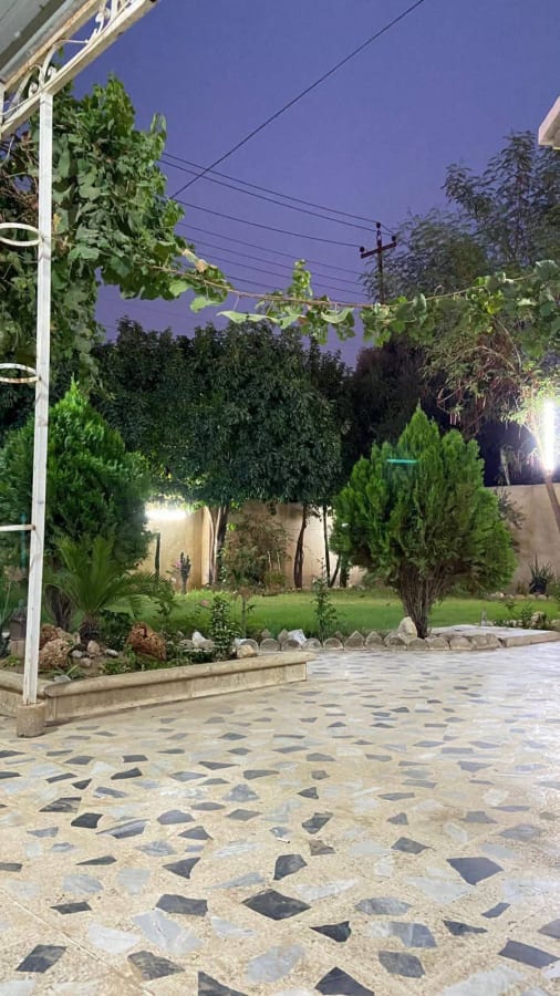 صورة 2