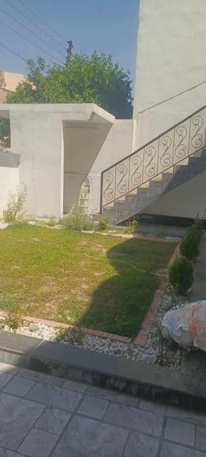 صورة 2