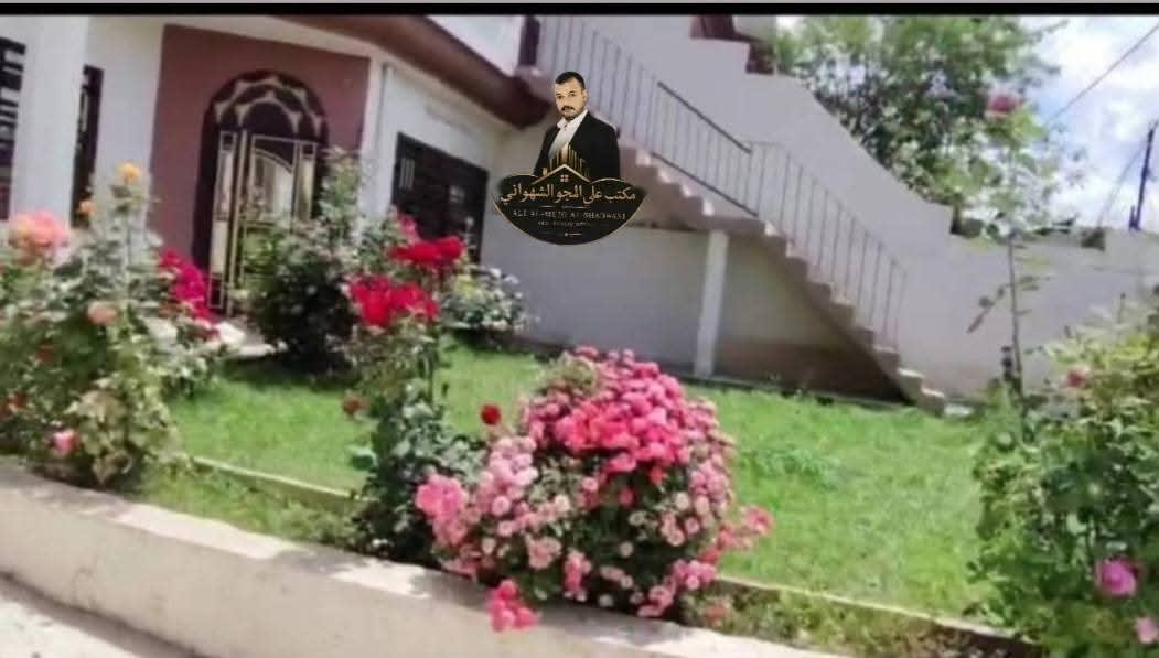 صورة 2