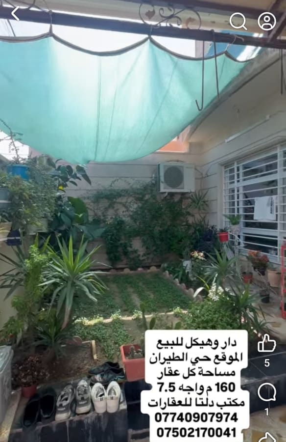 صورة 5