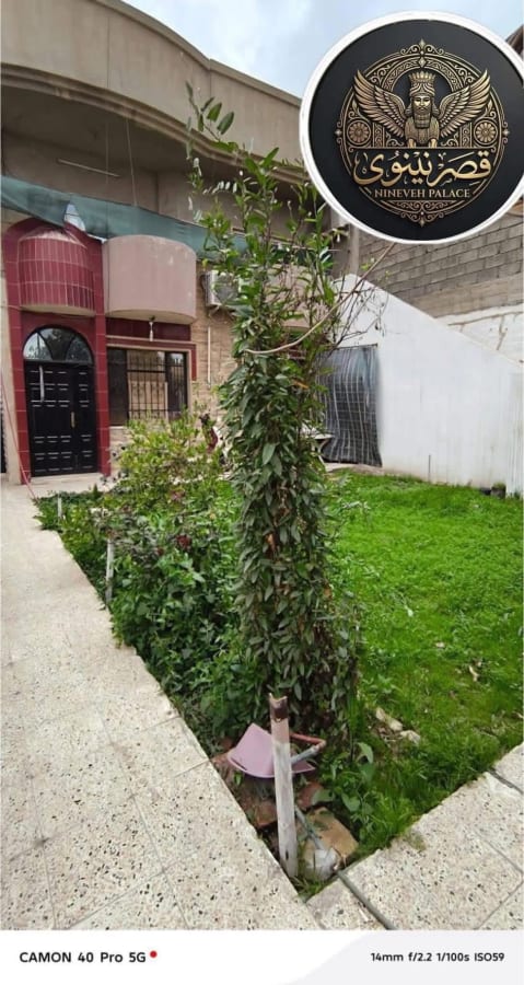 صورة 2
