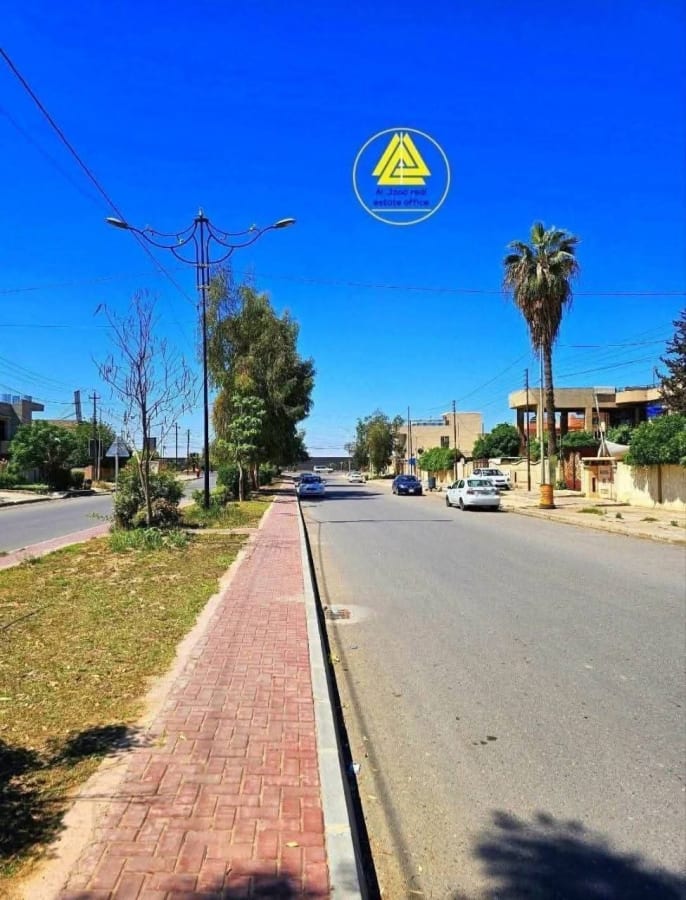 صورة 3