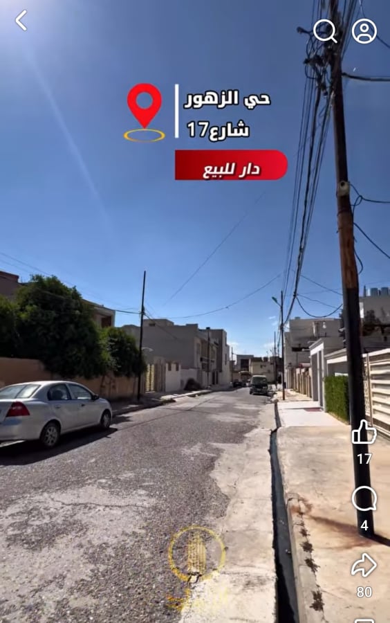 صورة 2