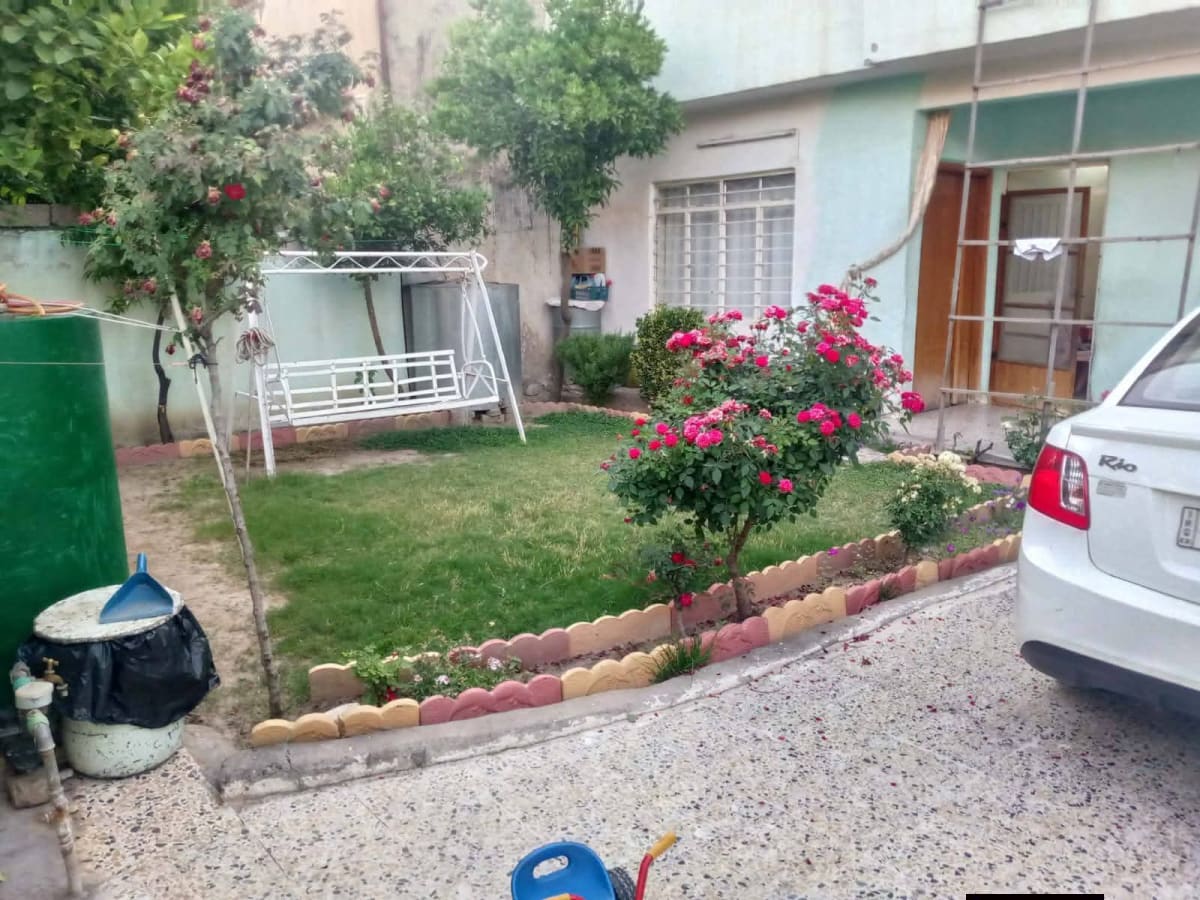 صورة 2
