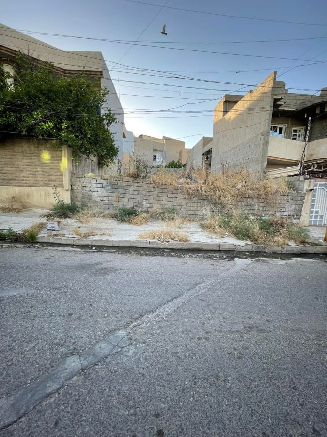 صورة 1