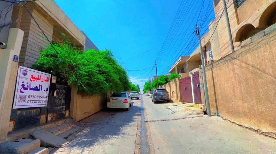 صورة 2