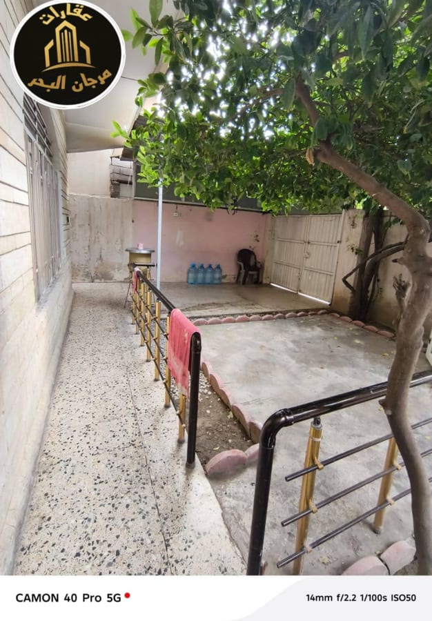 صورة 2