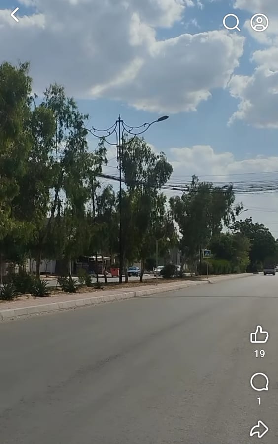 صورة 3