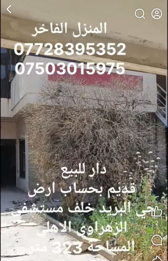 صورة 1