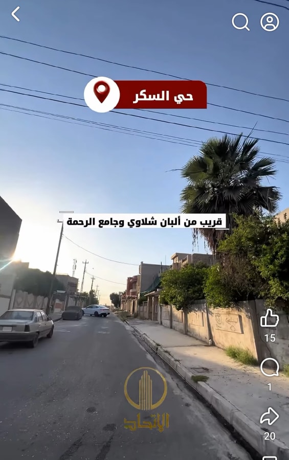 صورة 3