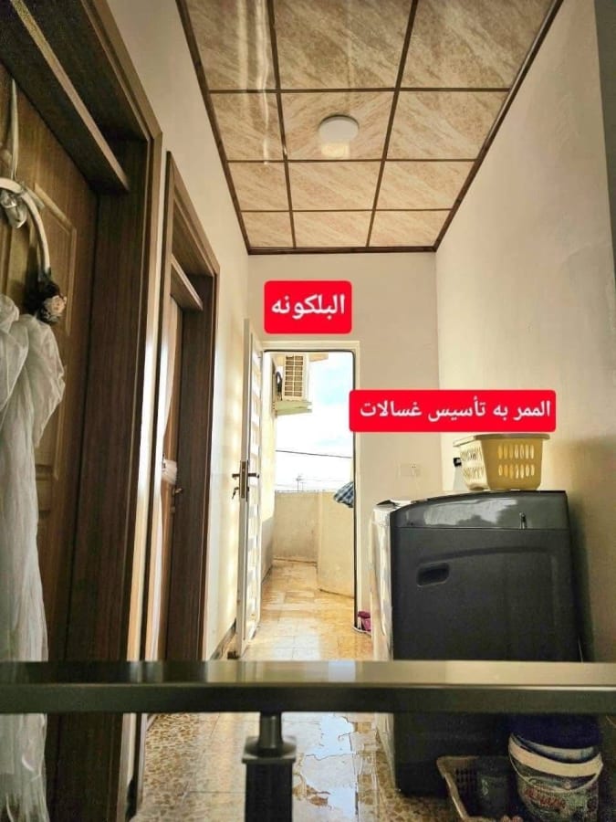 صورة 8