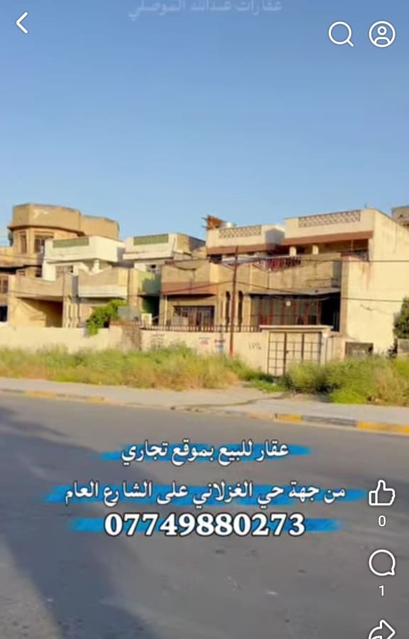 صورة 3