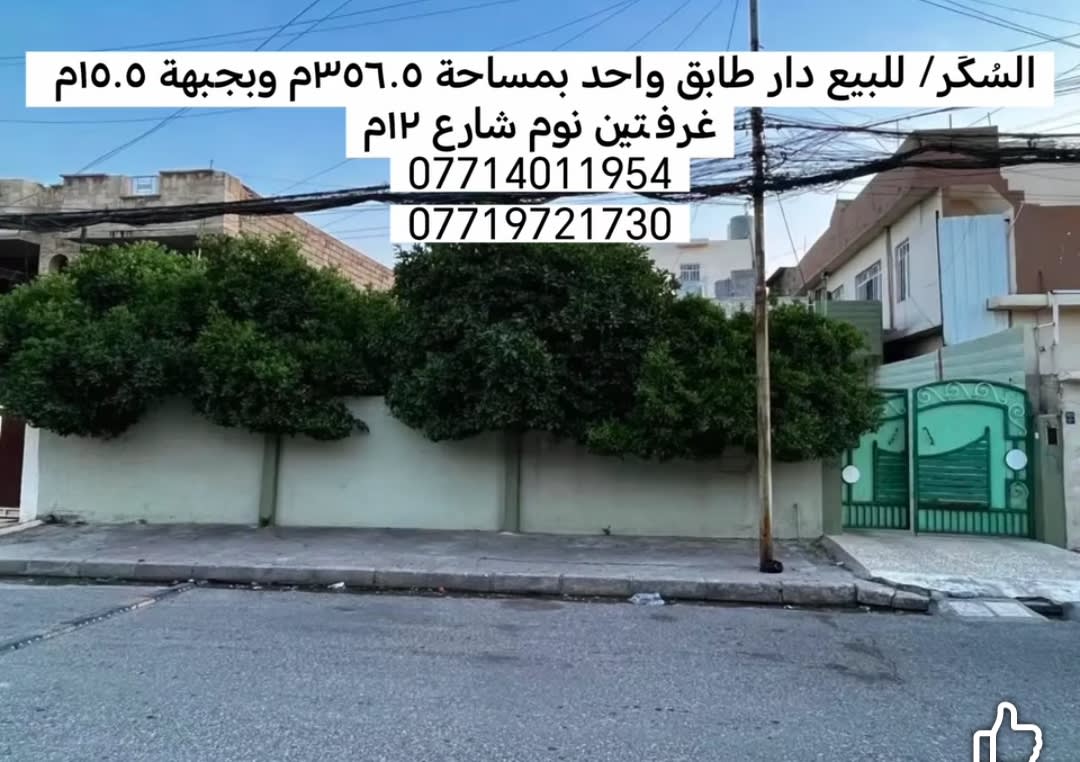 صورة 1