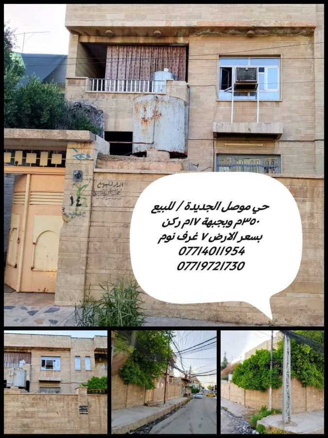 صورة 1