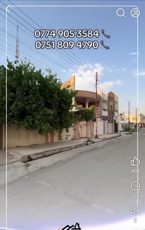 صورة 2