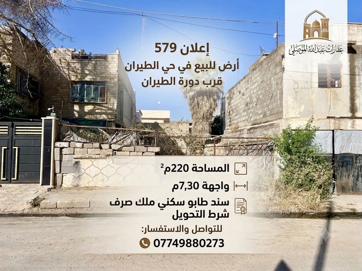 صورة 1