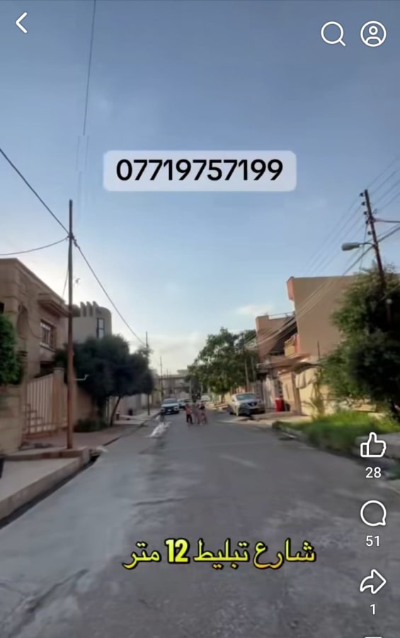 صورة 2