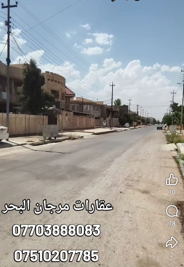 صورة 2
