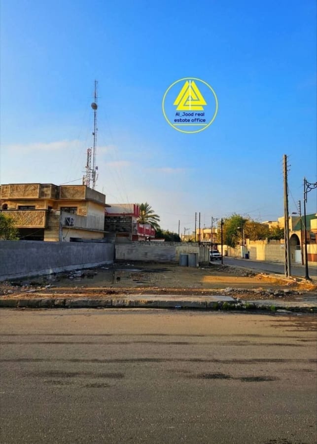 صورة 2