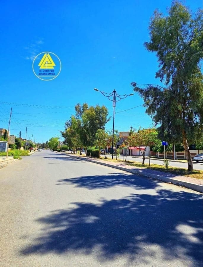 صورة 2