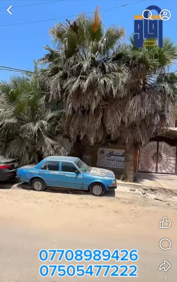 صورة 5