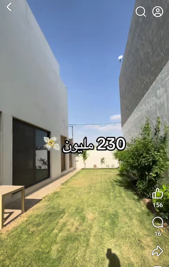 صورة 6