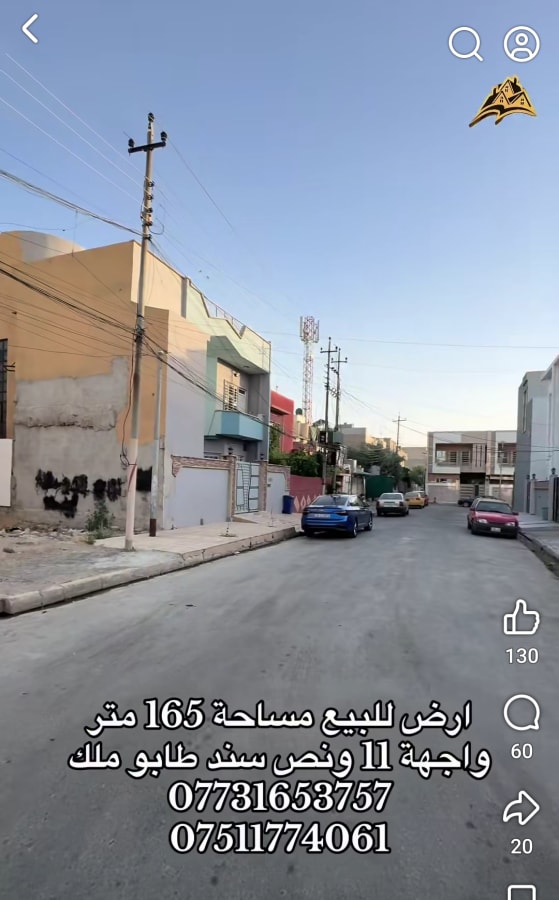 صورة 3