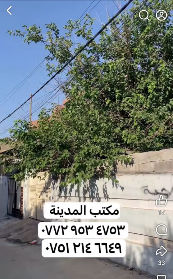 صورة 1