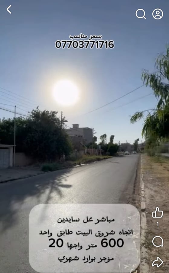 صورة 2