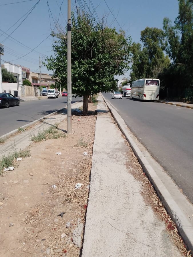 صورة 2