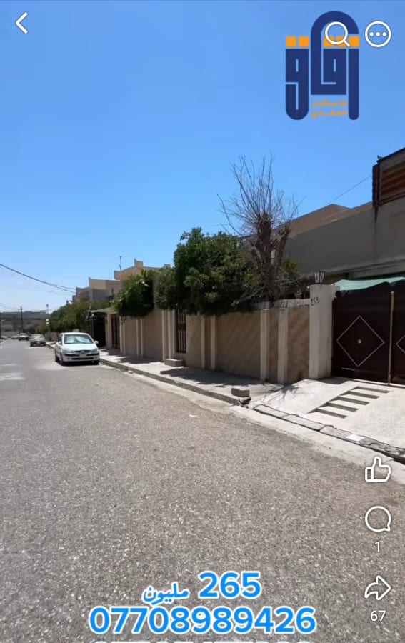 صورة 3